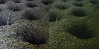 /album/ai-upravy-obrazu/z-planety-brouku-7-jpg/